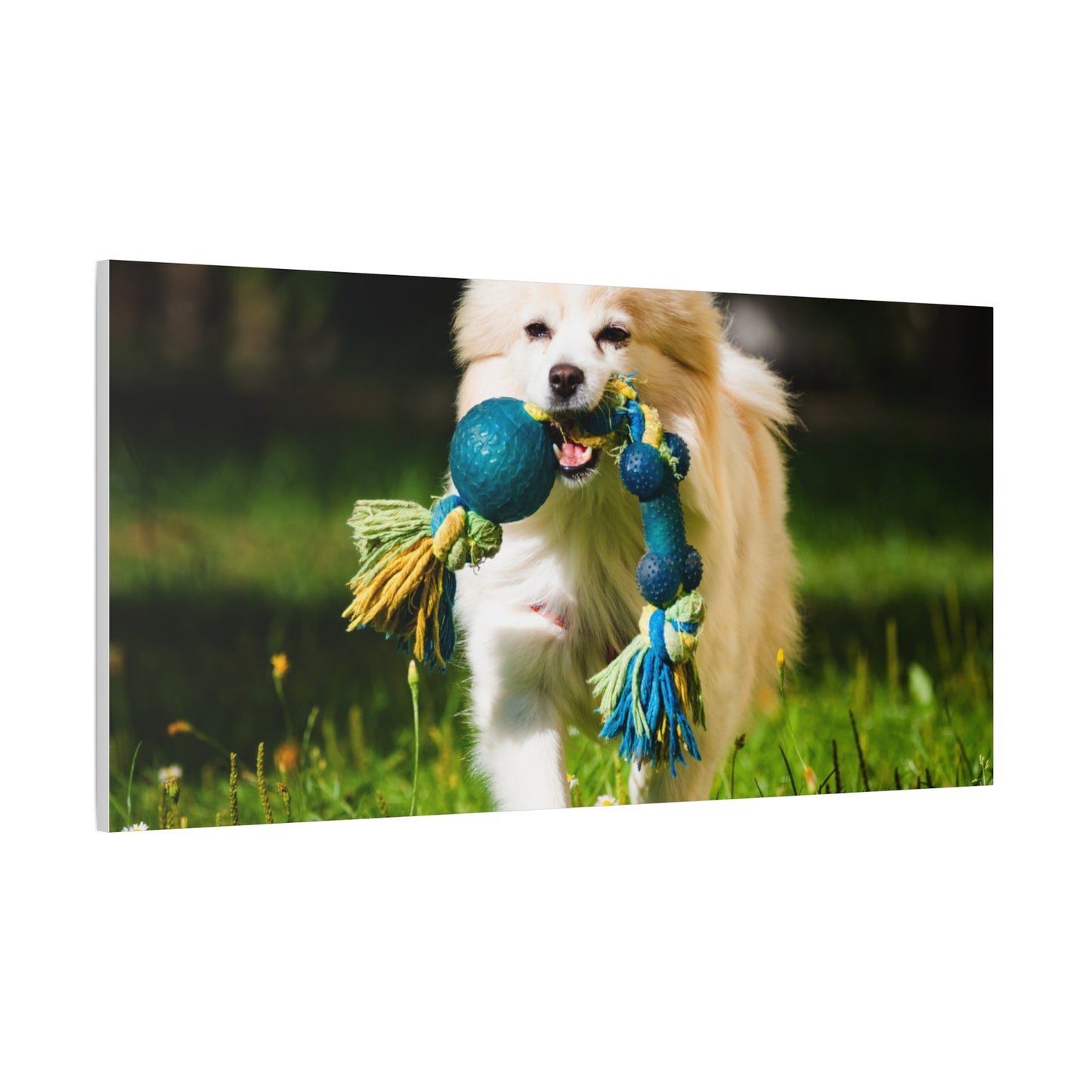 Personalized Pet Matte Canvas, Stretched, 1.25"