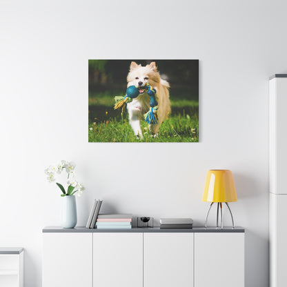 Personalized Pet Matte Canvas, Stretched, 1.25"