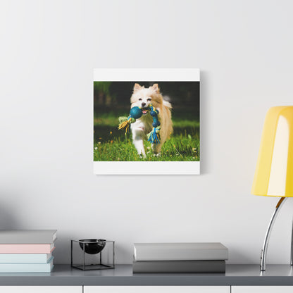 Personalized Pet Matte Canvas, Stretched, 1.25"