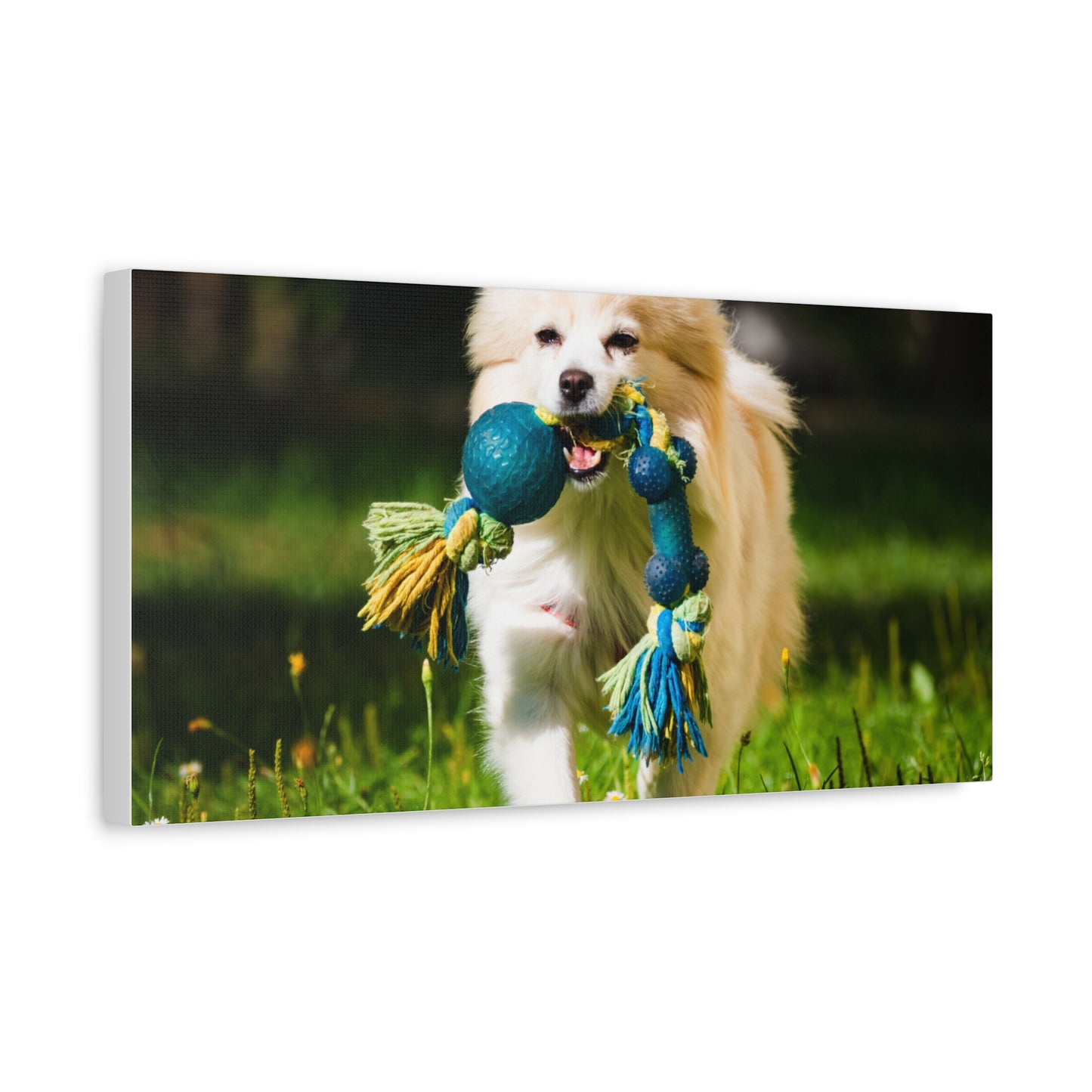 Personalized Pet Matte Canvas, Stretched, 1.25"