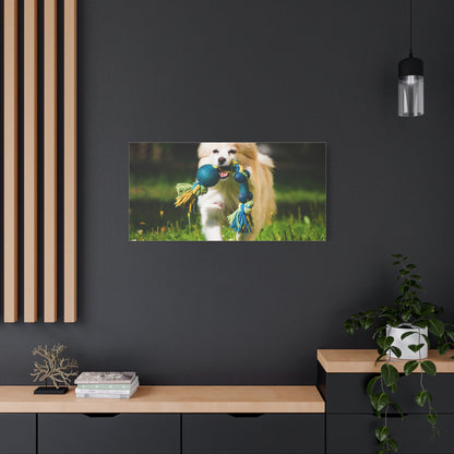 Personalized Pet Matte Canvas, Stretched, 1.25"