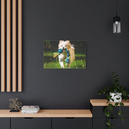 Personalized Pet Matte Canvas, Stretched, 1.25"