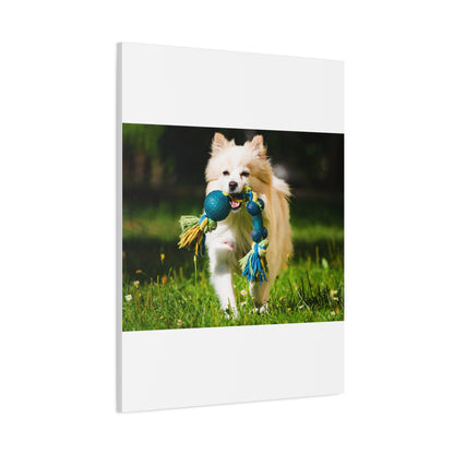 Personalized Pet Matte Canvas, Stretched, 1.25"