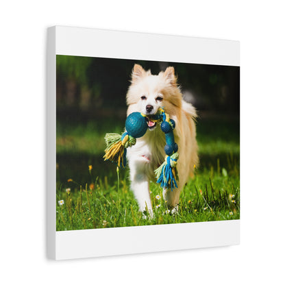 Personalized Pet Matte Canvas, Stretched, 1.25"