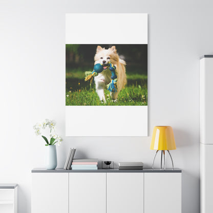 Personalized Pet Matte Canvas, Stretched, 1.25"