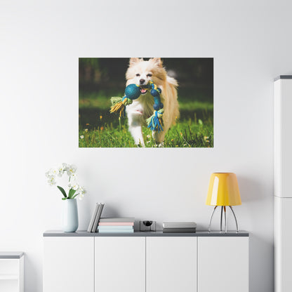 Personalized Pet Matte Canvas, Stretched, 1.25"