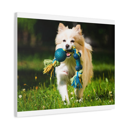 Personalized Pet Matte Canvas, Stretched, 1.25"