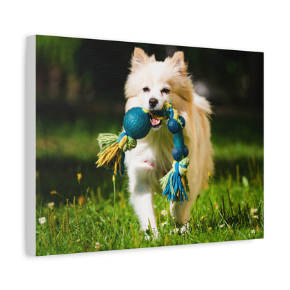 Personalized Pet Matte Canvas, Stretched, 1.25"