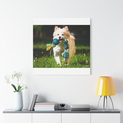 Personalized Pet Matte Canvas, Stretched, 1.25"