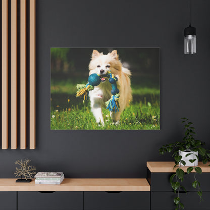 Personalized Pet Matte Canvas, Stretched, 1.25"