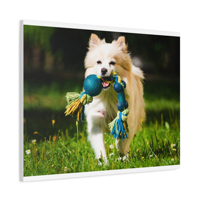 Personalized Pet Matte Canvas, Stretched, 1.25"