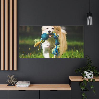 Personalized Pet Matte Canvas, Stretched, 1.25"