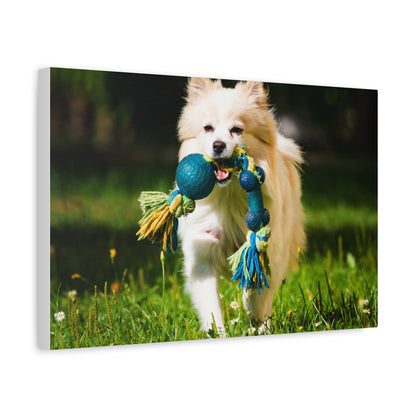 Personalized Pet Matte Canvas, Stretched, 1.25"