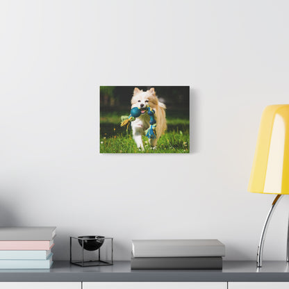 Personalized Pet Matte Canvas, Stretched, 1.25"