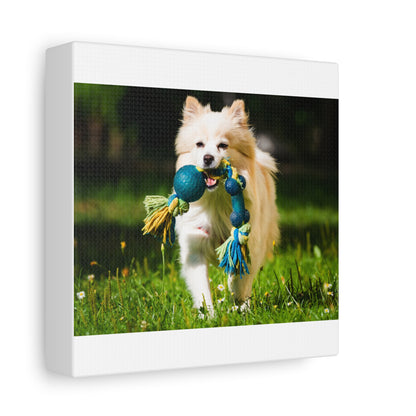 Personalized Pet Matte Canvas, Stretched, 1.25"