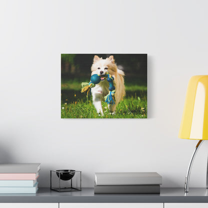 Personalized Pet Matte Canvas, Stretched, 1.25"