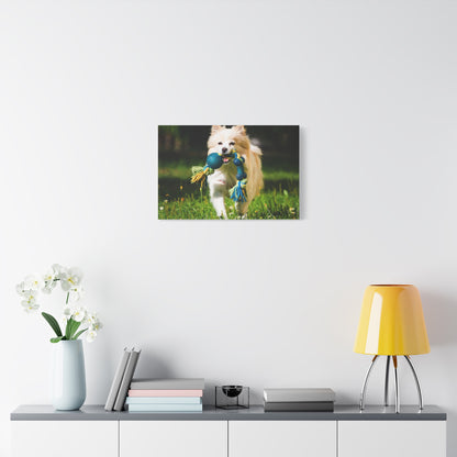 Personalized Pet Matte Canvas, Stretched, 1.25"