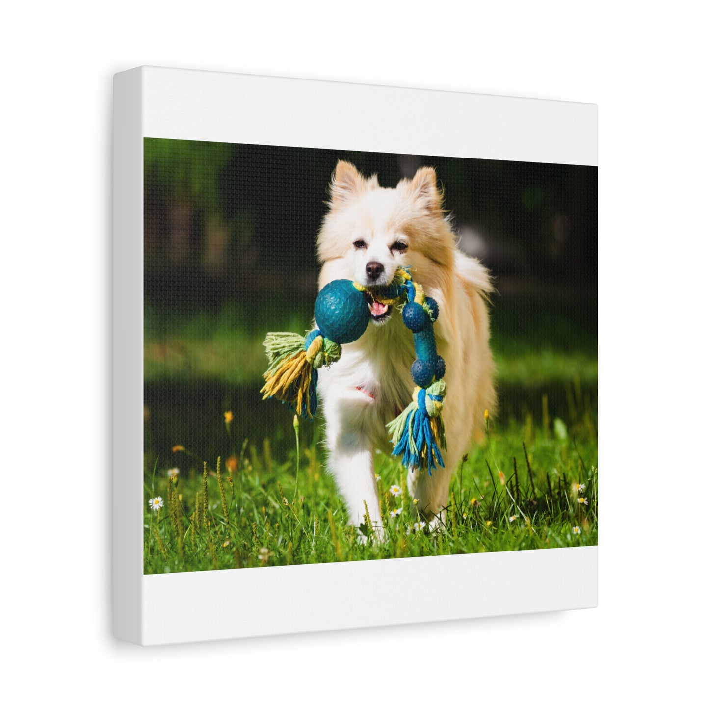 Personalized Pet Matte Canvas, Stretched, 1.25"