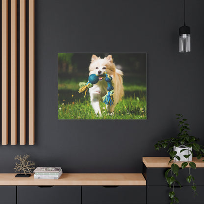 Personalized Pet Matte Canvas, Stretched, 1.25"