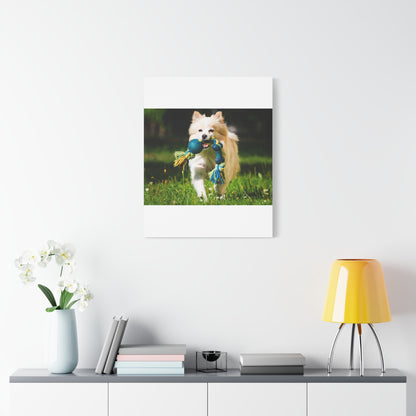 Personalized Pet Matte Canvas, Stretched, 1.25"