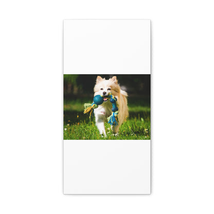 Personalized Pet Matte Canvas, Stretched, 1.25"