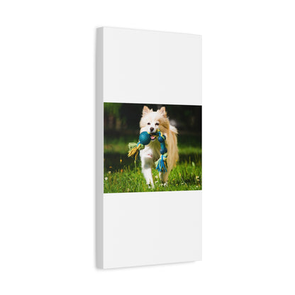 Personalized Pet Matte Canvas, Stretched, 1.25"