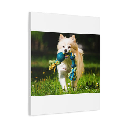 Personalized Pet Matte Canvas, Stretched, 1.25"